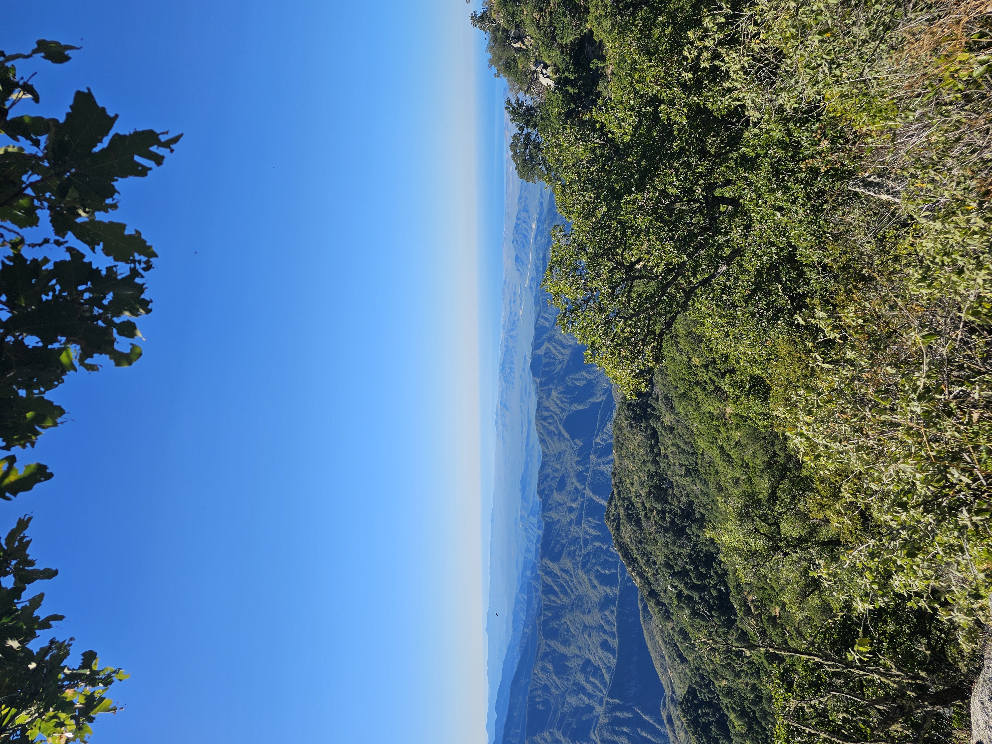 Sierra Laguna Biosfera